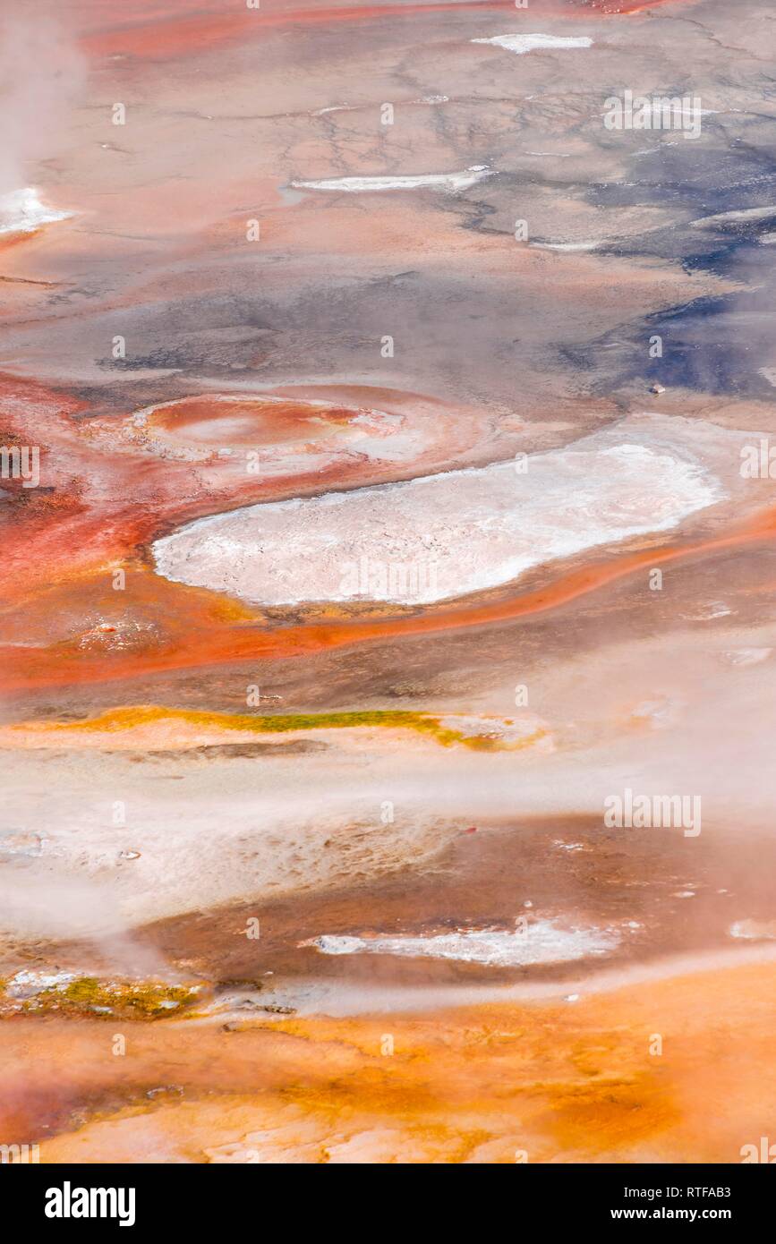 Résumé détail, des sources chaudes et colorées de minerais dans le bassin en porcelaine, Noris Geyser Basin, Parc National de Yellowstone Banque D'Images
