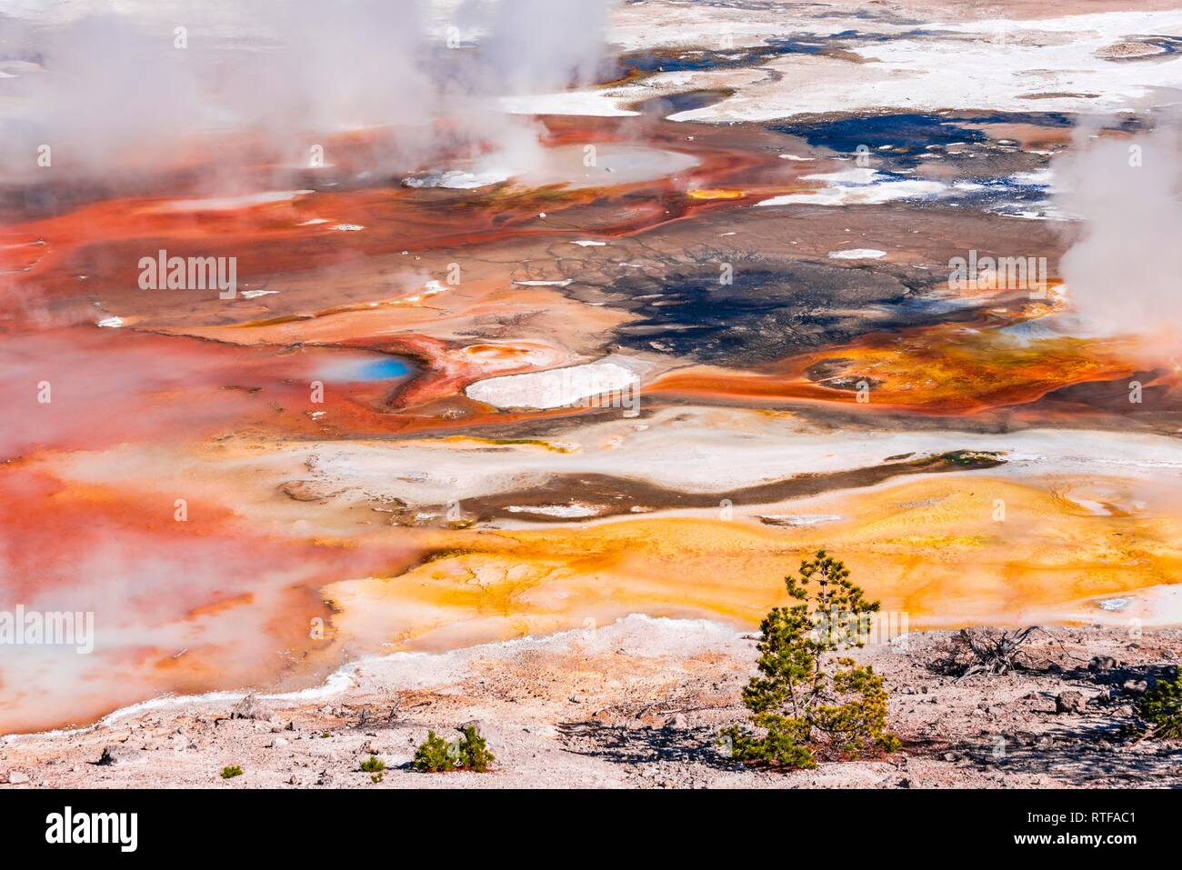 Résumé détail, des sources chaudes et colorées de minerais dans le bassin en porcelaine, Noris Geyser Basin, Parc National de Yellowstone Banque D'Images
