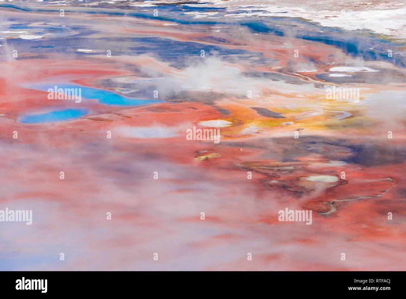 Résumé détail, des sources chaudes et colorées de minerais dans le bassin en porcelaine, Noris Geyser Basin, Parc National de Yellowstone Banque D'Images