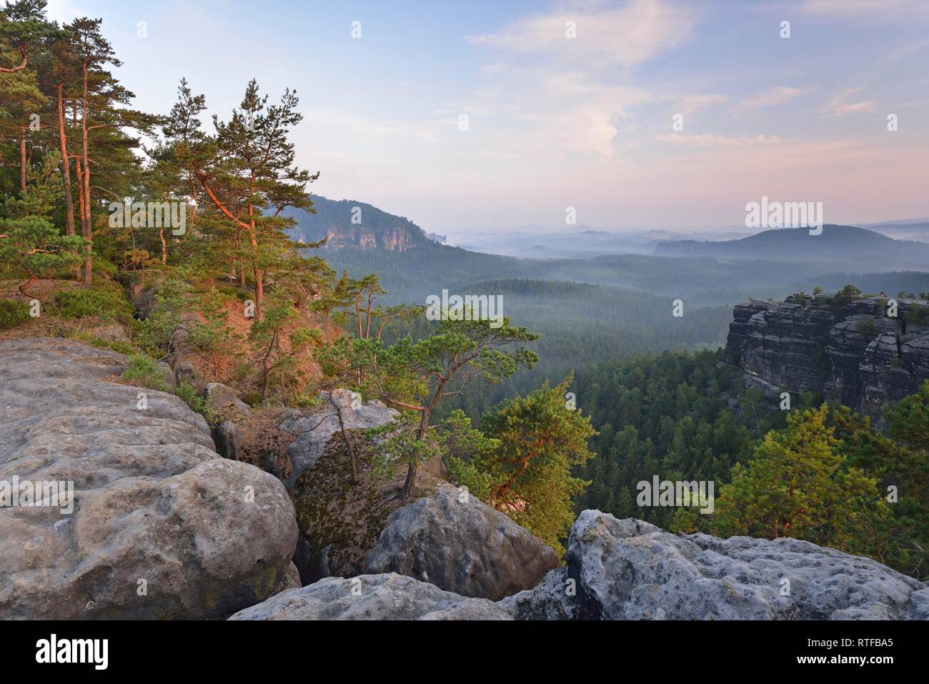 Paysage rocheux dans le brouillard du matin, vue de la capture de l'ours des murs, des montagnes de grès de l'Elbe, Saxe, Allemagne Banque D'Images