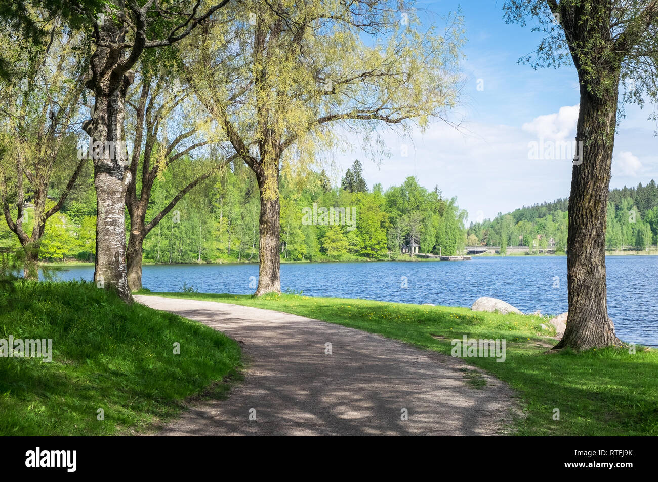 Paysage d'été avec le lac pittoresque et idyllique paht à bright journée d'été en Finlande. Banque D'Images