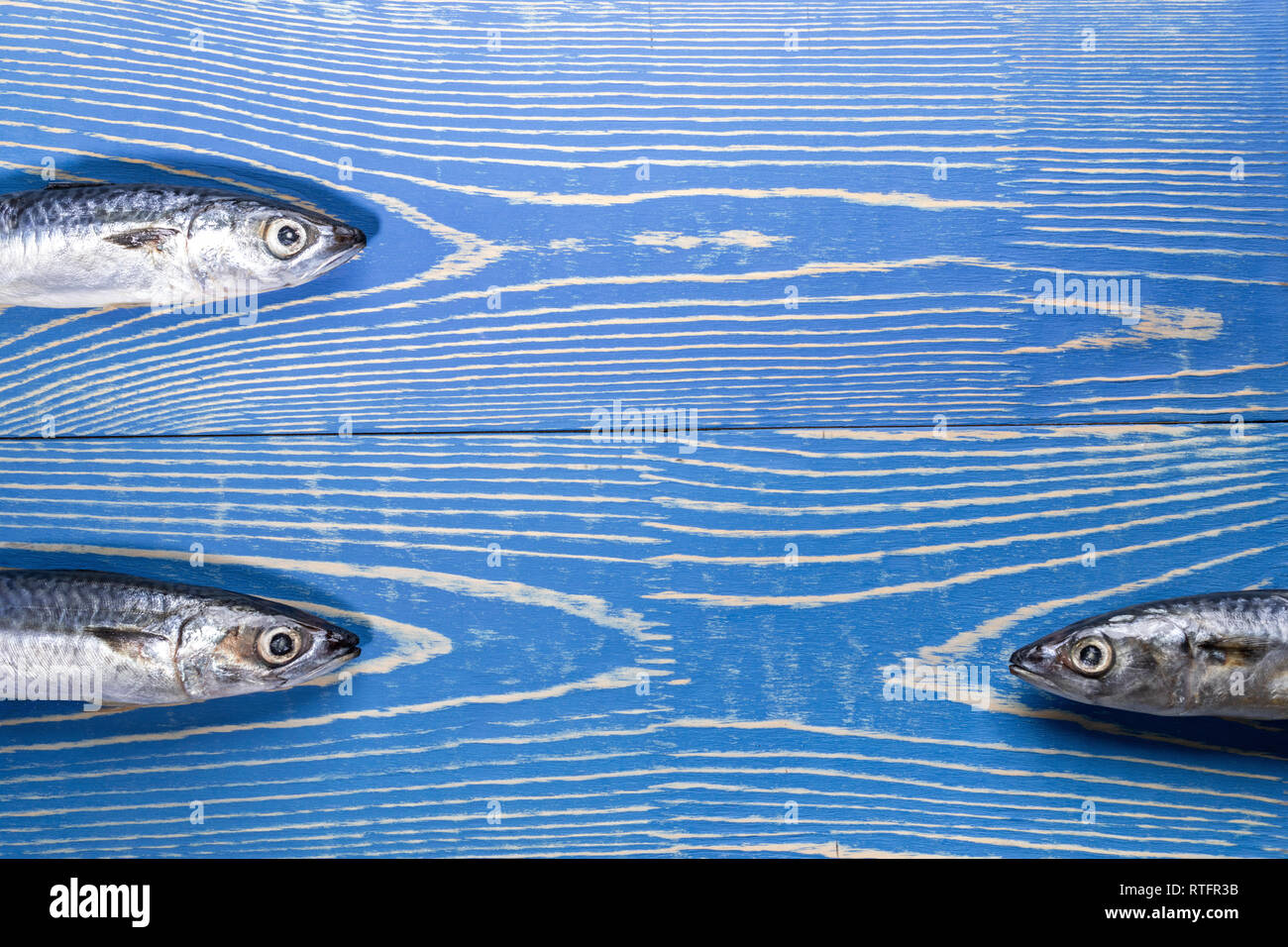 Ensemble de trois poissons maquereau bleu peint sur fond de bois. Banque D'Images