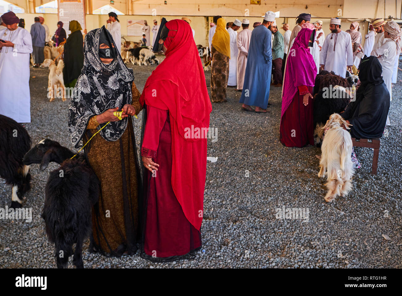 Sultanat d'Oman, al région de Sharqiya, Sinaw, jour de marché de bétail, les femmes et les hommes Banque D'Images