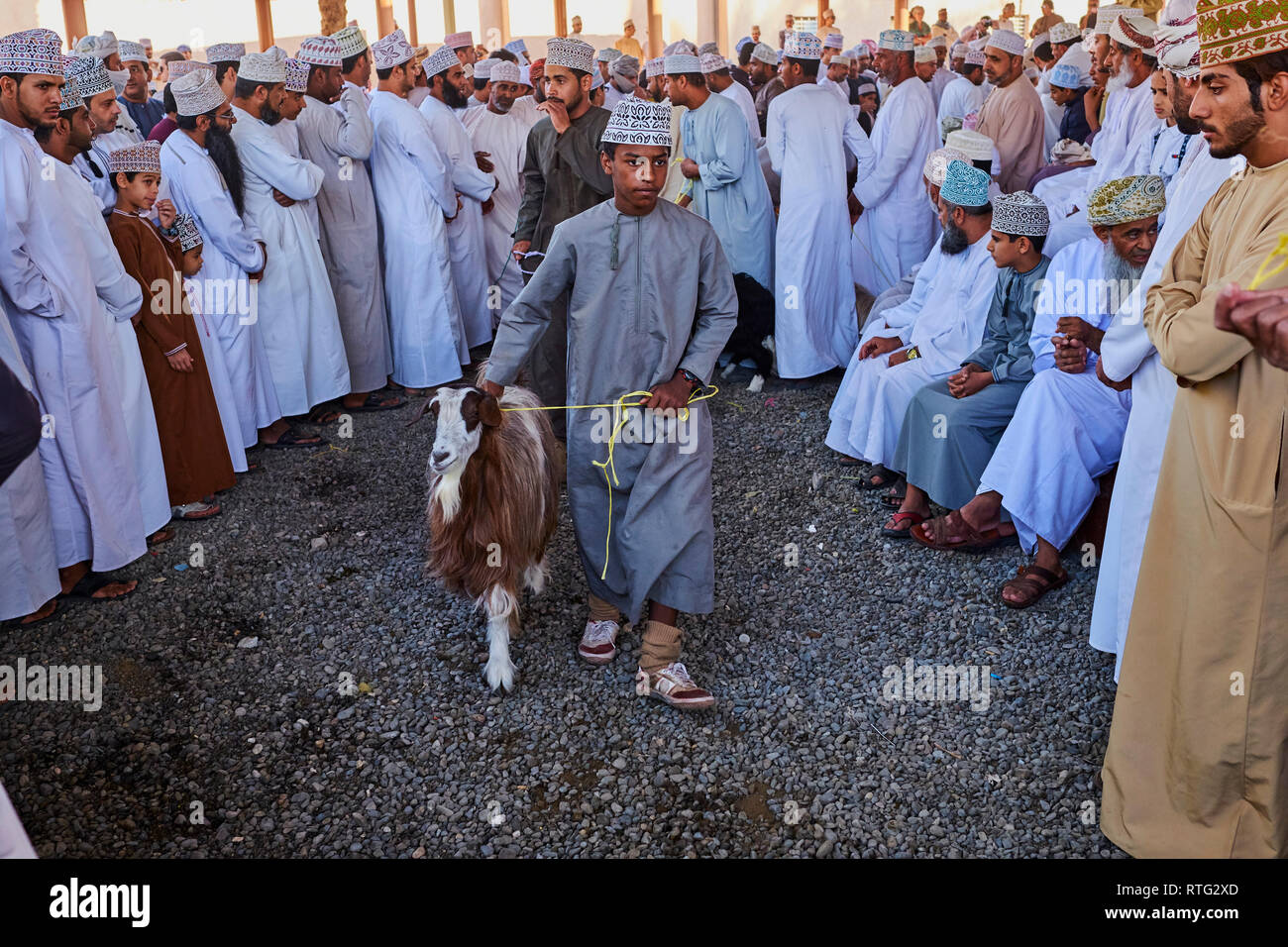 Sultanat d'Oman, Ad-Dakhiliyah Région, Nizwa, vendredi marché de bétail Banque D'Images