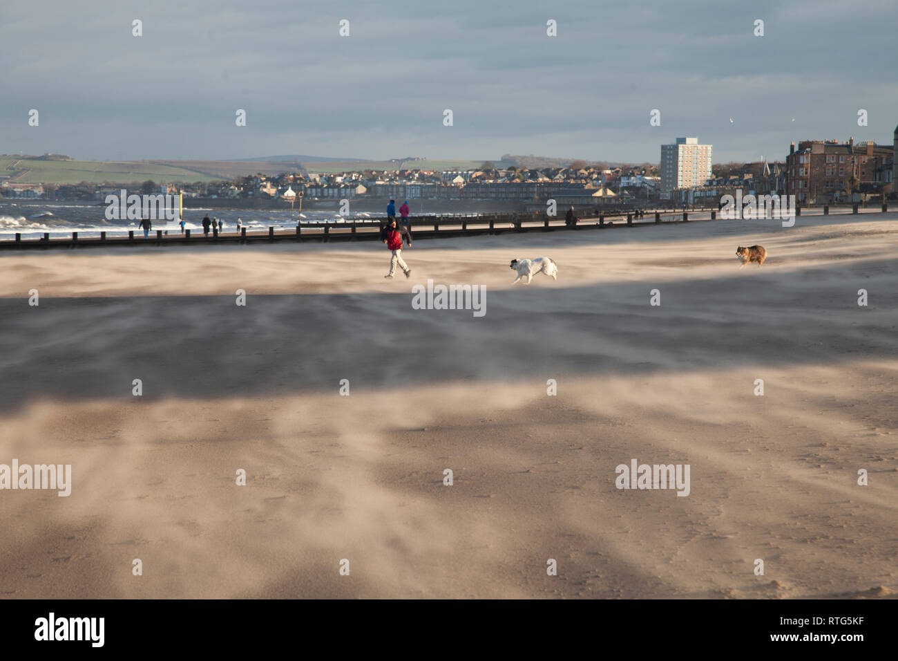 Ensoleillé et très venteux sur un jour sur la plage de Portobello à Édimbourg, capitale de l'Ecosse. Banque D'Images