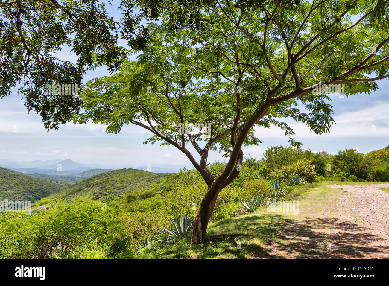 Ruines de Xochicalco, État de Morelos, Mexique Banque D'Images
