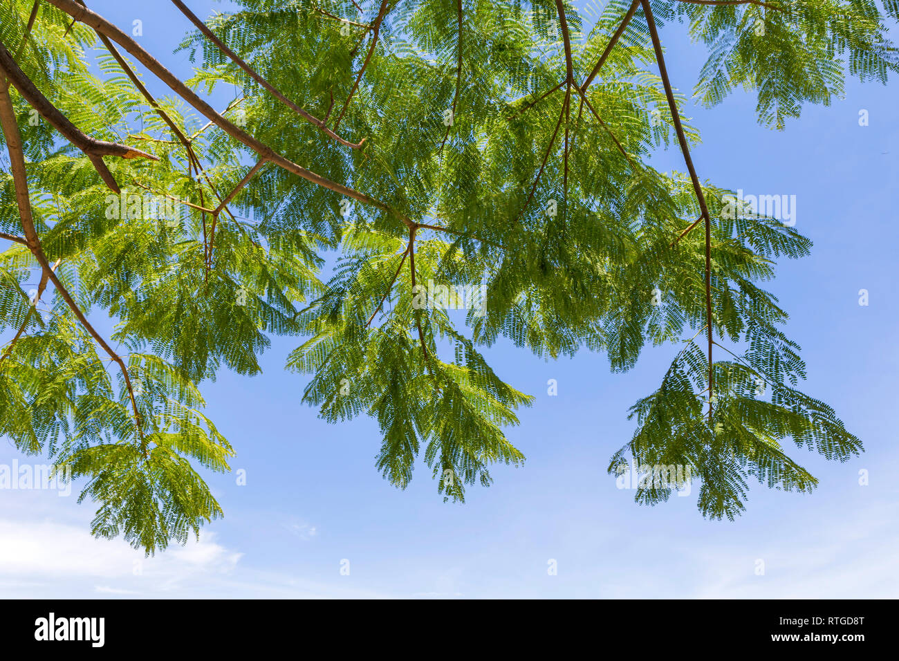 Ruines de Xochicalco, État de Morelos, Mexique Banque D'Images