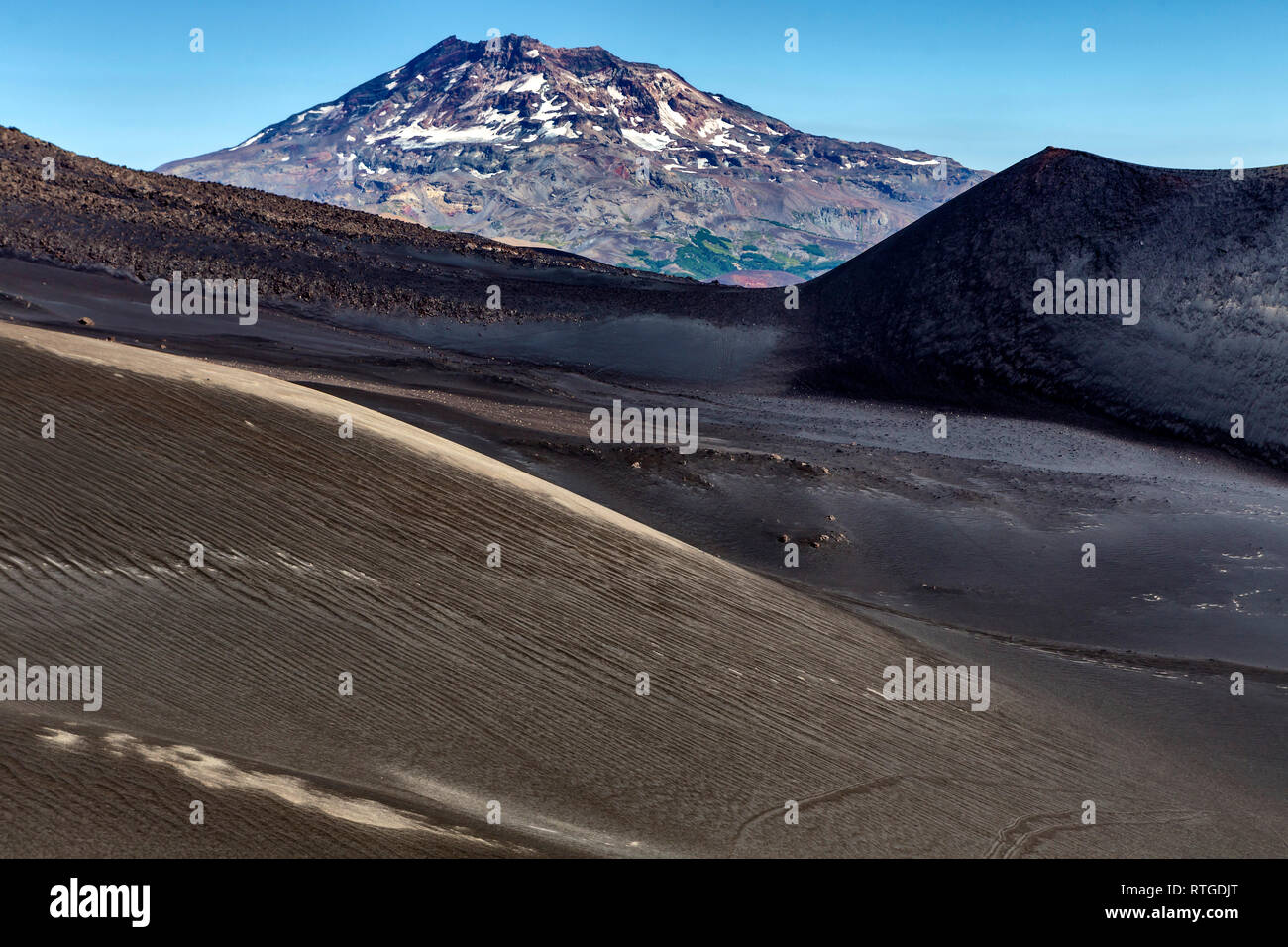 Volcan Lonquimay, Réserve nationale du Malalcahuello-Nalcas, région d'Araucania, Chili Banque D'Images