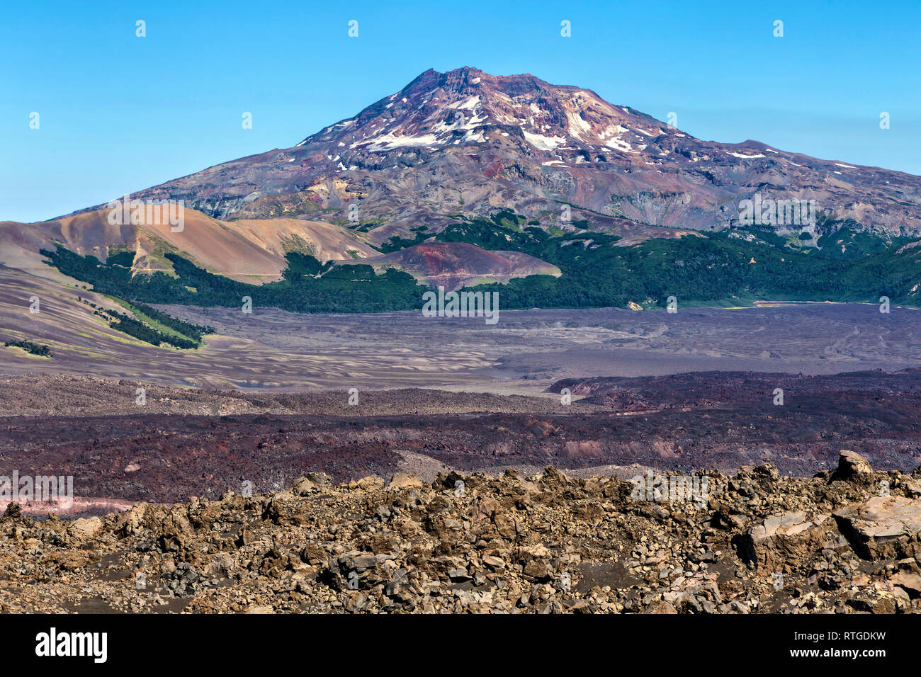Volcan Lonquimay, Réserve nationale du Malalcahuello-Nalcas, région d'Araucania, Chili Banque D'Images