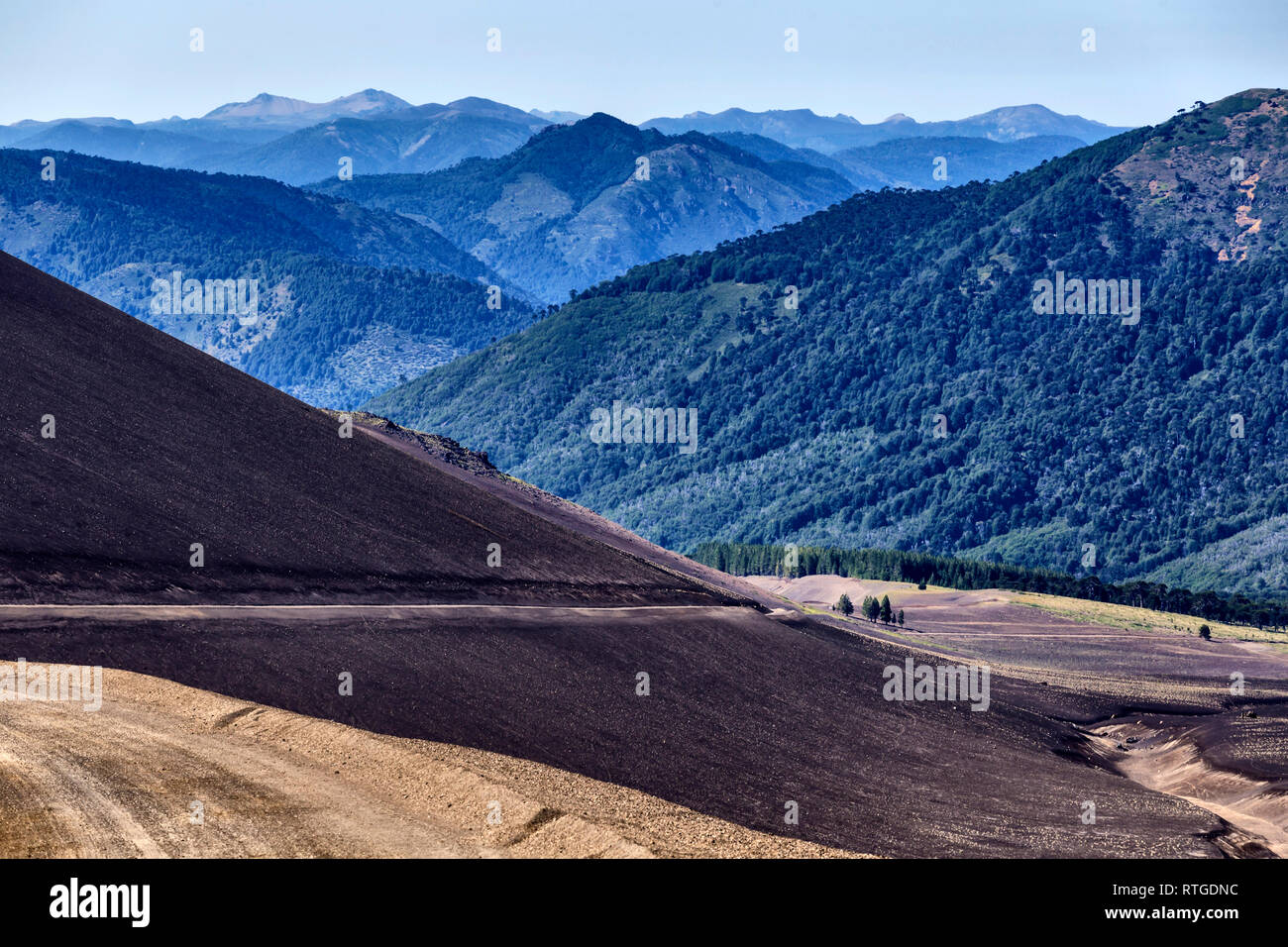 Volcan Lonquimay, Réserve nationale du Malalcahuello-Nalcas, région d'Araucania, Chili Banque D'Images