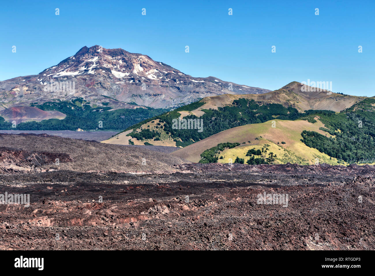 Volcan Lonquimay, Réserve nationale du Malalcahuello-Nalcas, région d'Araucania, Chili Banque D'Images