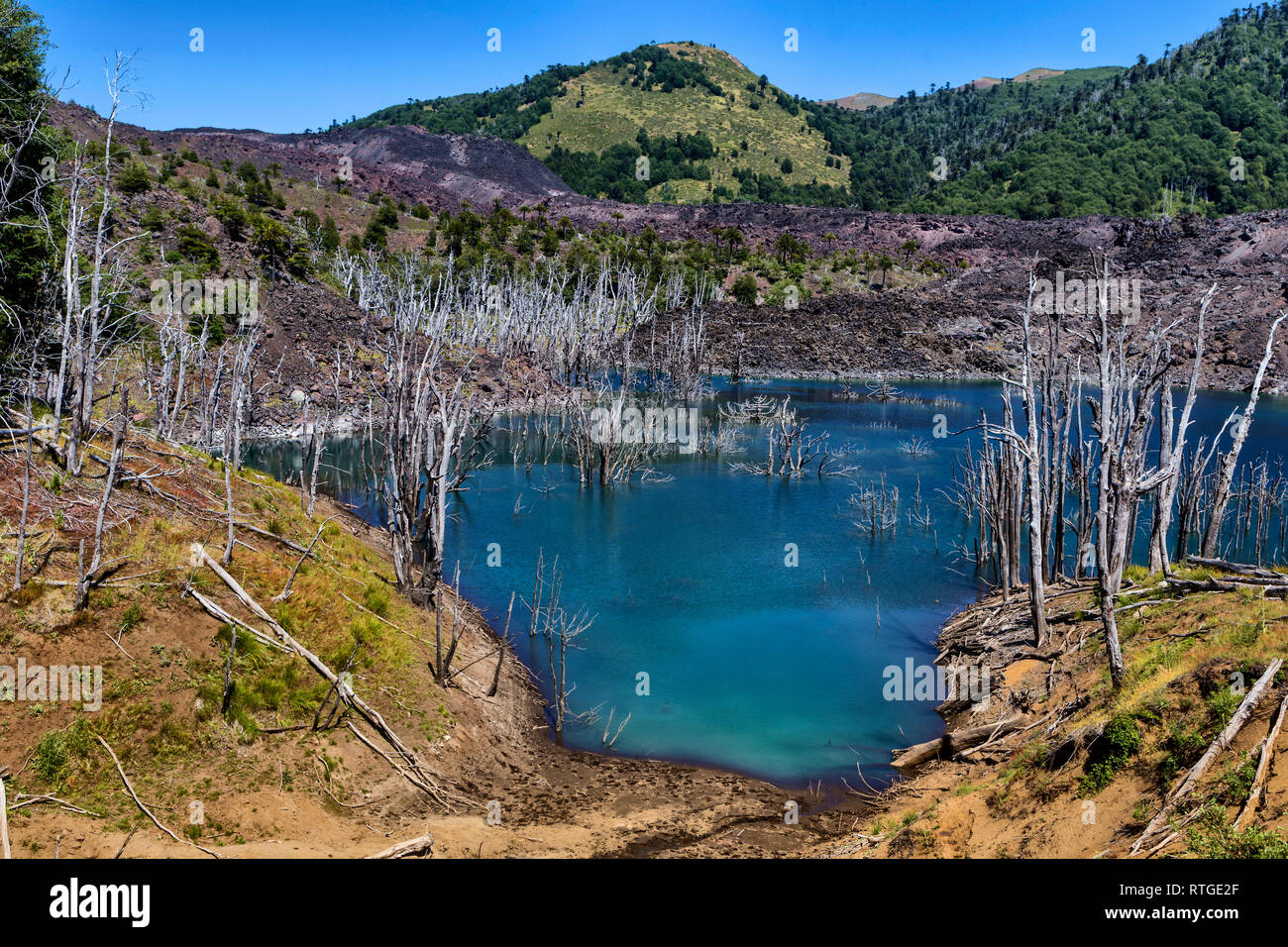 Lac volcanique, Réserve nationale du Malalcahuello-Nalcas, région d'Araucania, Chili Banque D'Images