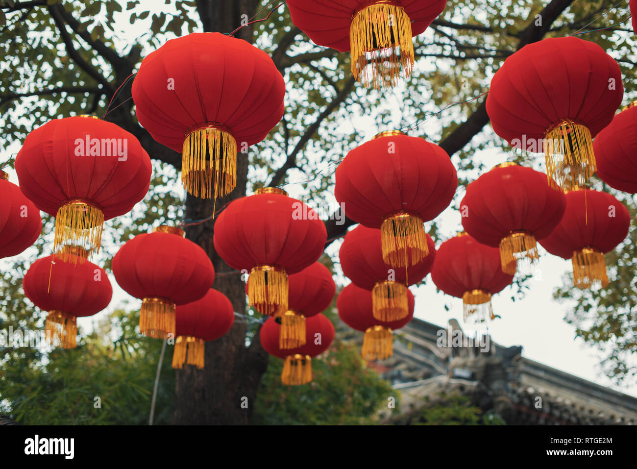 Lampions rouges suspendus dans la rue pour le nouvel an chinois Banque D'Images