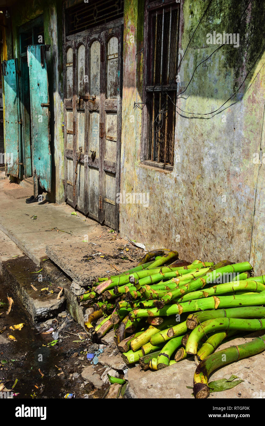 La canne à sucre, Goubert Market, Pondichéry, Pondichéry, Tamil Nadu, Inde Banque D'Images