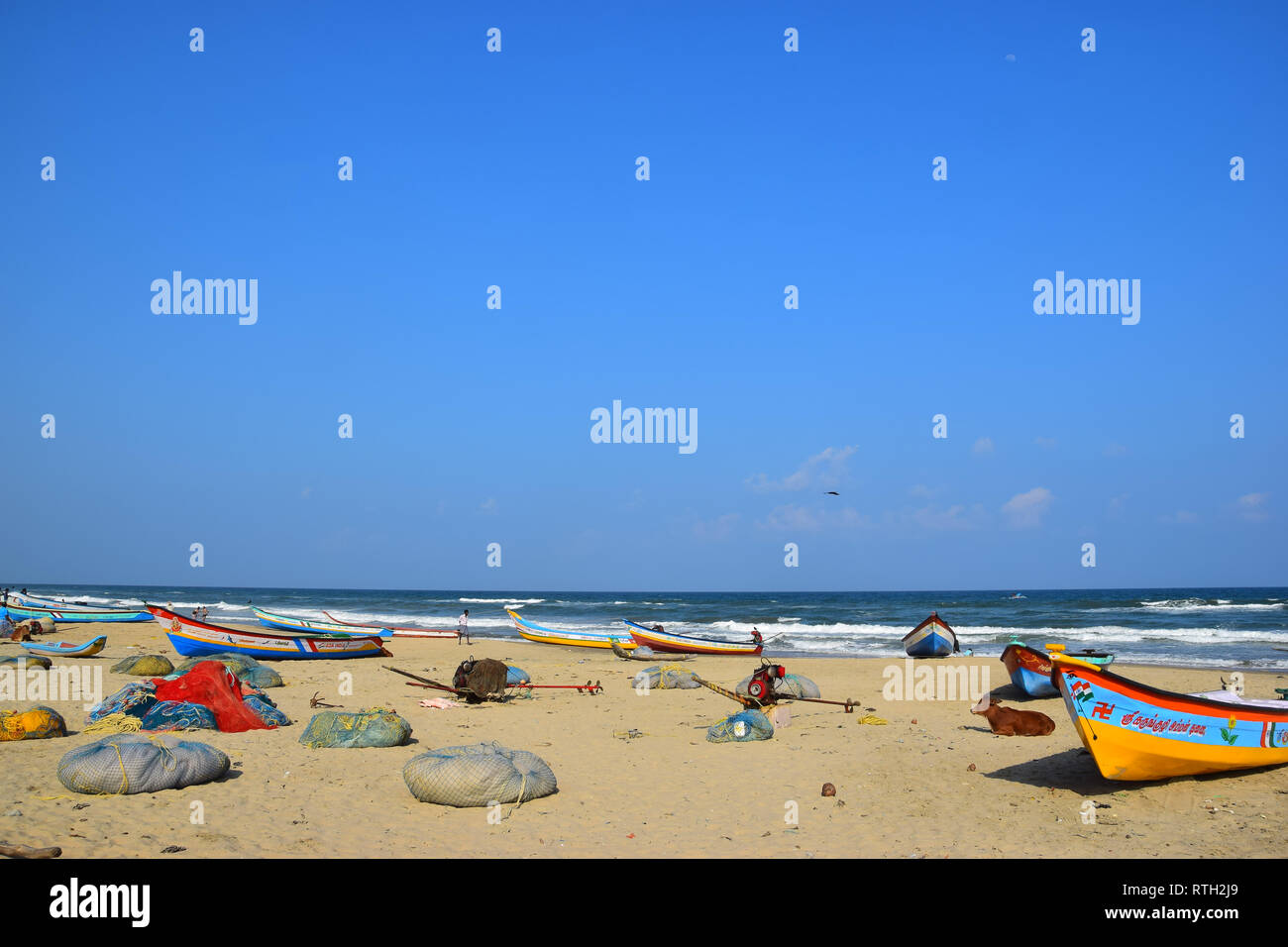 Plage de bateaux de pêche et les vaches, Mamallapuram, Mahabalipuram, baie du Bengale, Tamil Nadu, Inde Banque D'Images