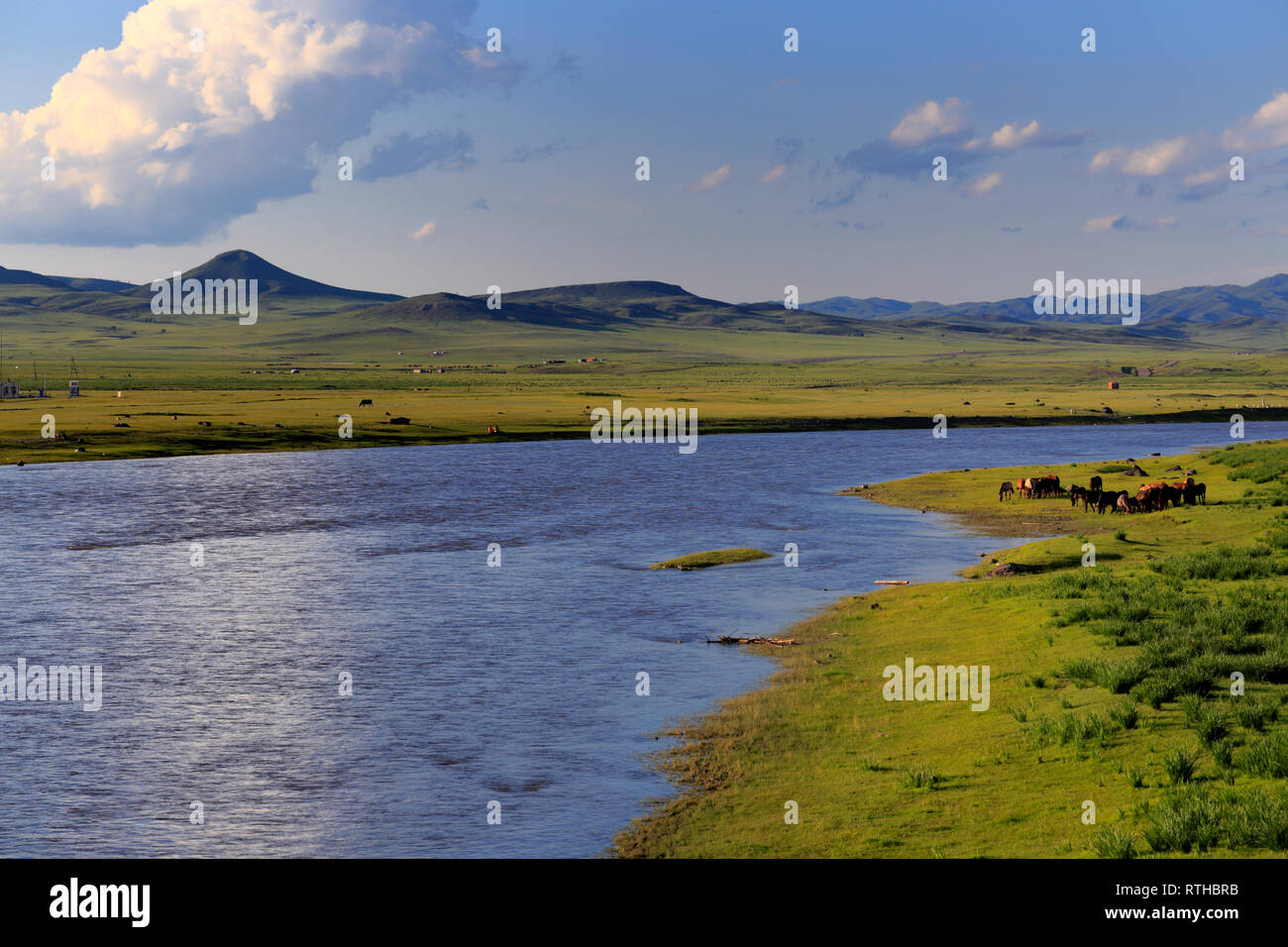 Orhon Mongolie, province de Bulgan, Banque D'Images