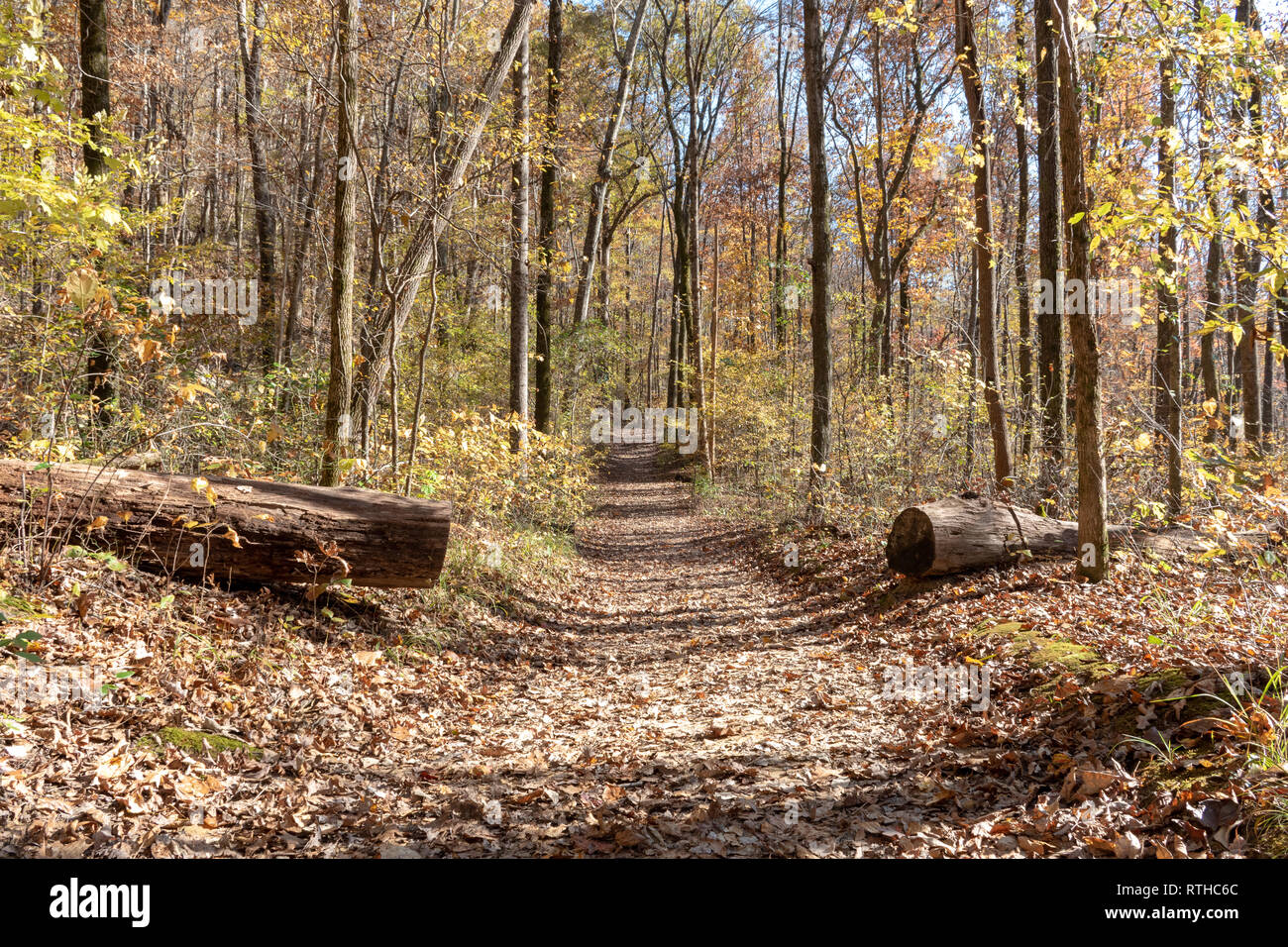 Photos d'extérieur de creek et trail de Huntsville Alabama Banque D'Images