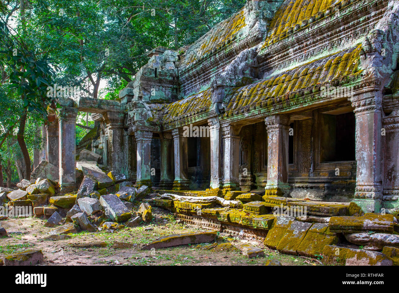 Ruines du temple de Ta Prohm à Angkor Wat, au Cambodge Banque D'Images