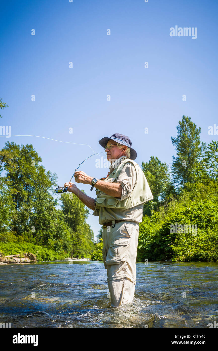 Un homme de 70 ans de pêche à la mouche dans la rivière Cedar, ouest de l'État de Washington, USA. Banque D'Images