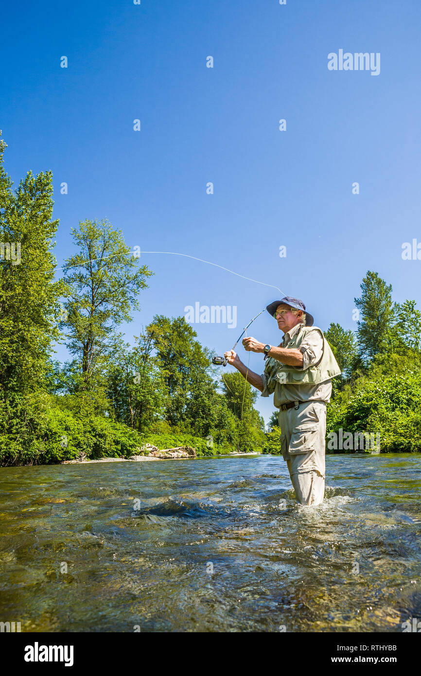 Un homme de 70 ans de pêche à la mouche dans la rivière Cedar, ouest de l'État de Washington, USA. Banque D'Images