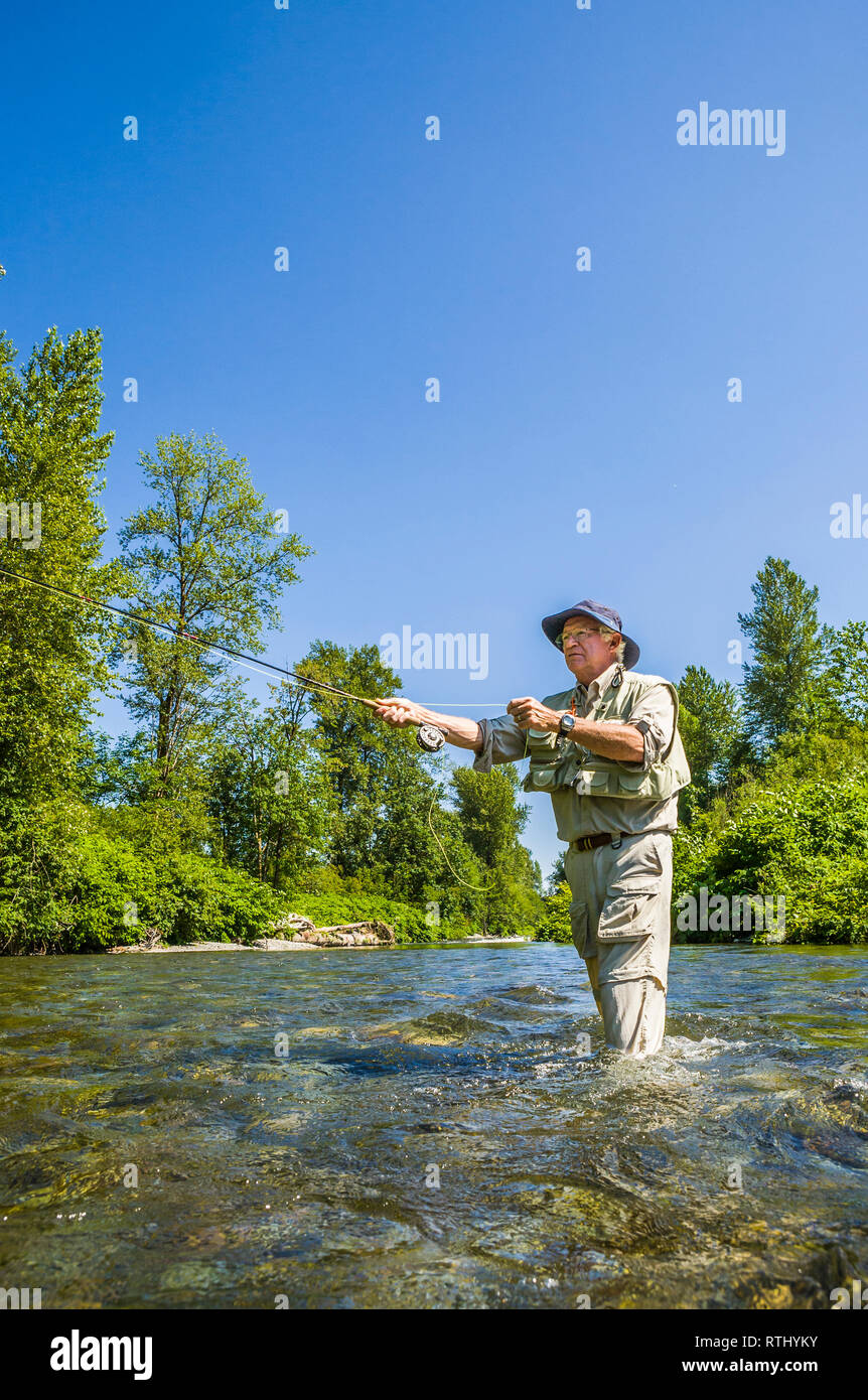 Un homme de 70 ans de pêche à la mouche dans la rivière Cedar, ouest de l'État de Washington, USA. Banque D'Images