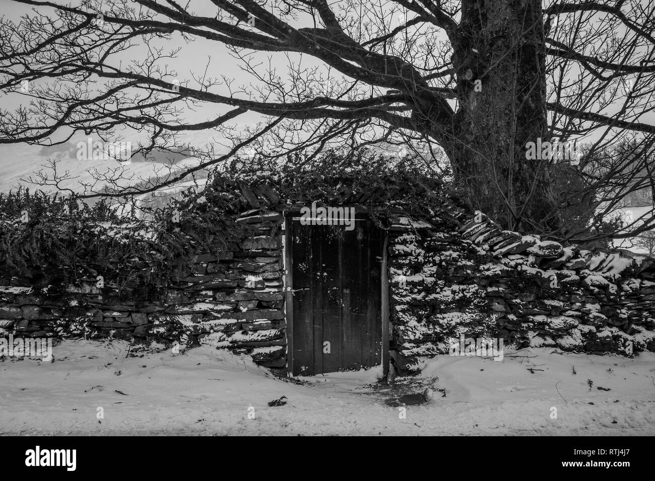 Paysage hiver neige atmosphérique Lake District UK Banque D'Images