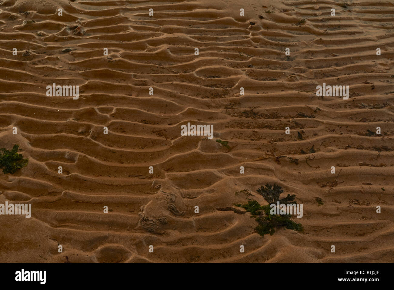 Résumé des motifs de plage à marée basse de Whitstable, Kent, Angleterre, Royaume-Uni, Europe Banque D'Images