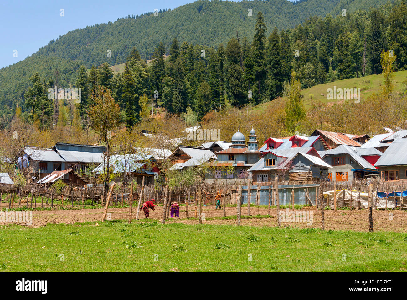 Village de montagne, Pahalgam, Jammu-et-Cachemire, l'Inde Banque D'Images