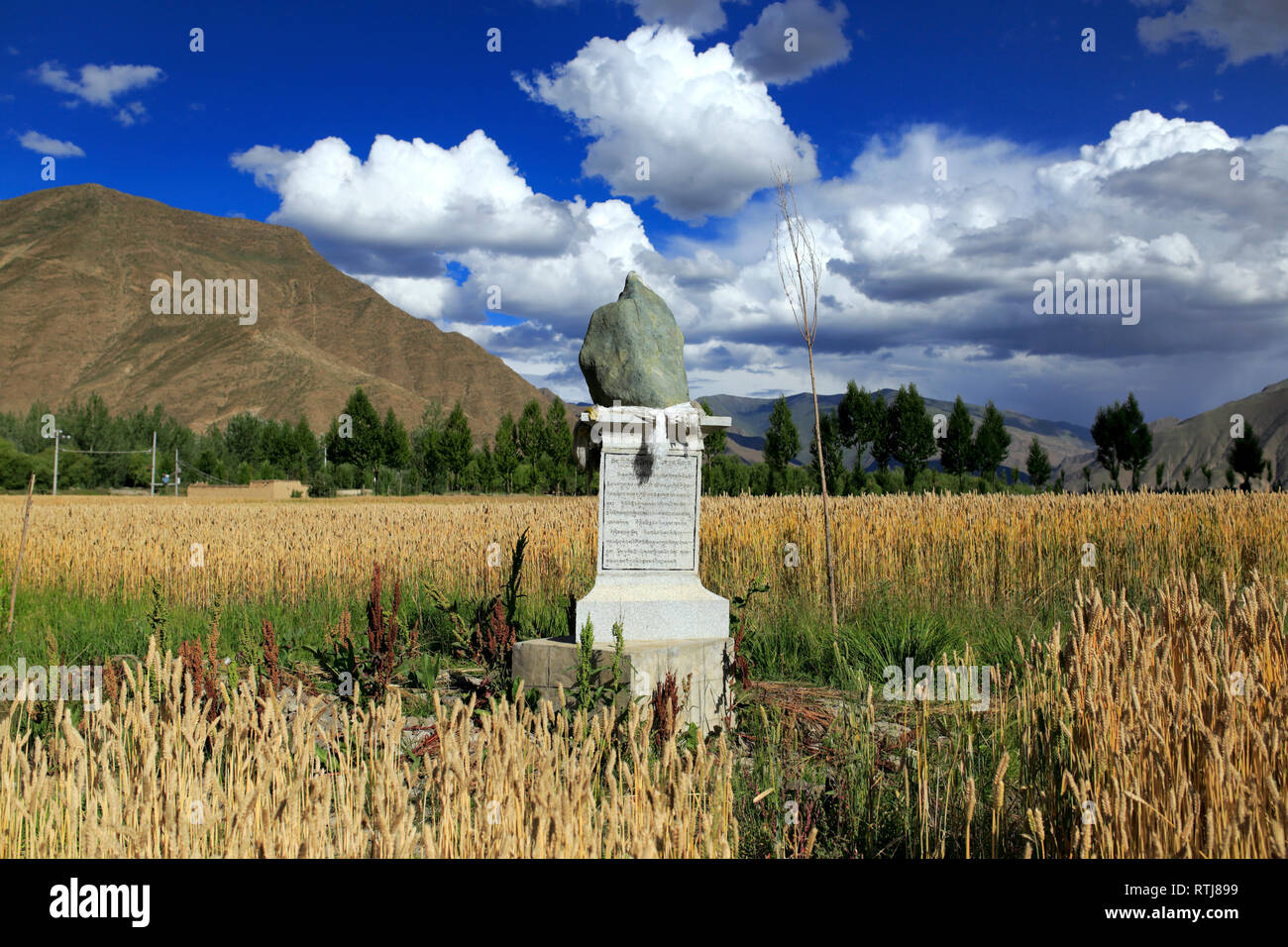 Paysage près de Yumbu Lakhang (Yungbulakang Palace), Lhoka (préfecture de Shannan), Tibet, Chine Banque D'Images