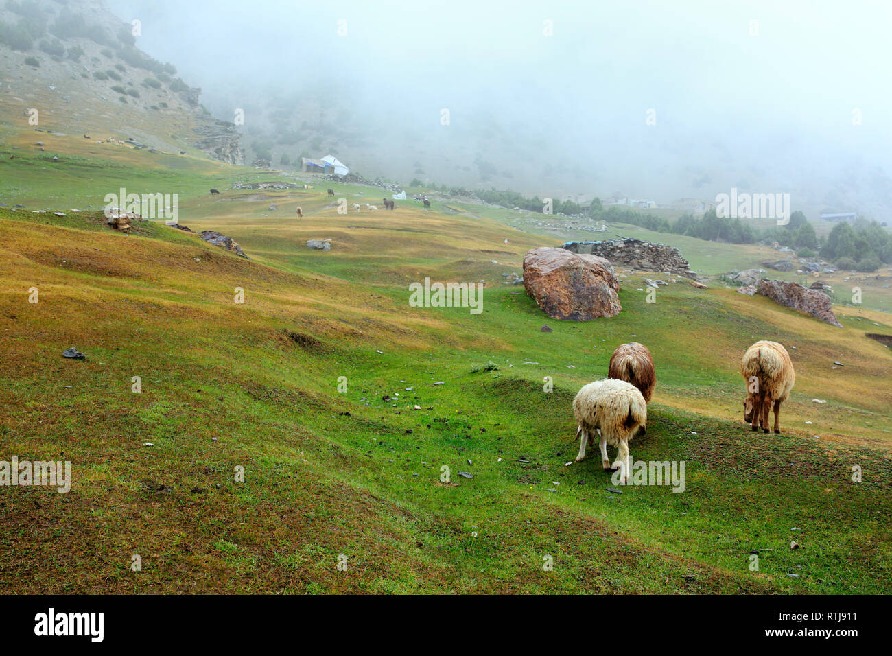 Parc des glaciers, Oytagh Kizilsu, vallée de Kizilsu, Préfecture de la région autonome ouïghoure du Xinjiang, Chine Banque D'Images