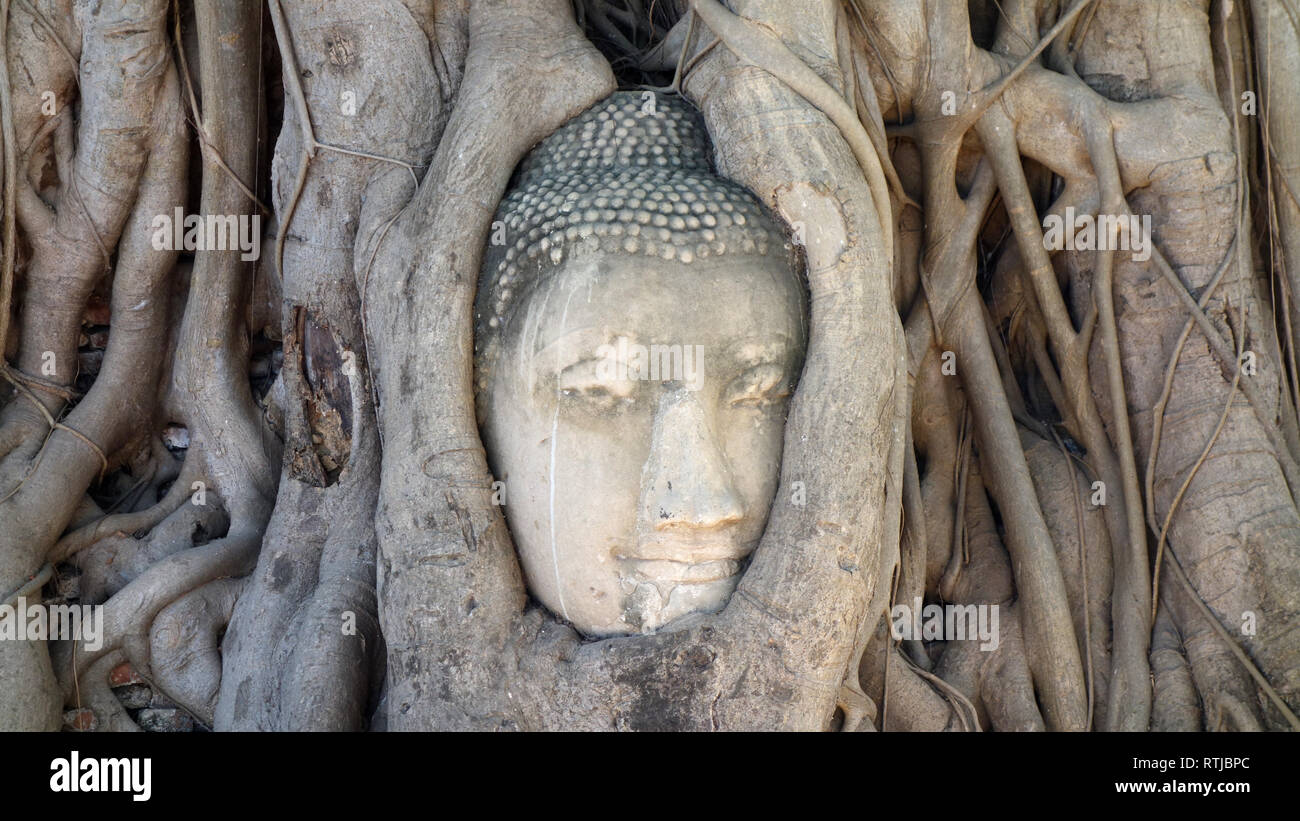 Parc historique d'Ayutthaya en Thaïlande Banque D'Images