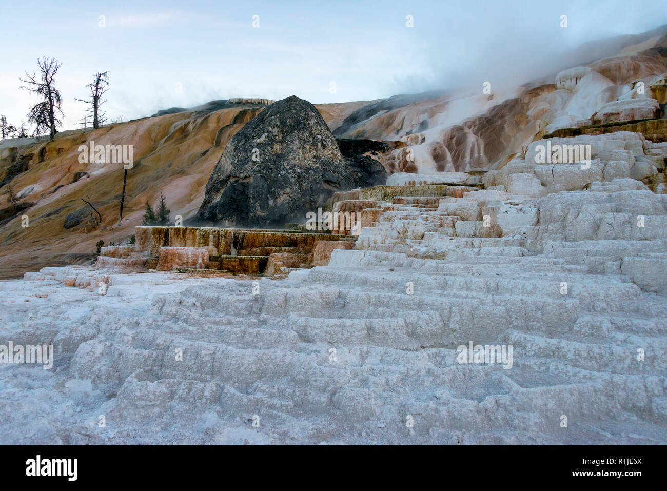 Terrasse monticule, Mammoth Hot Springs, Parc National de Yellowstone, États-Unis Banque D'Images