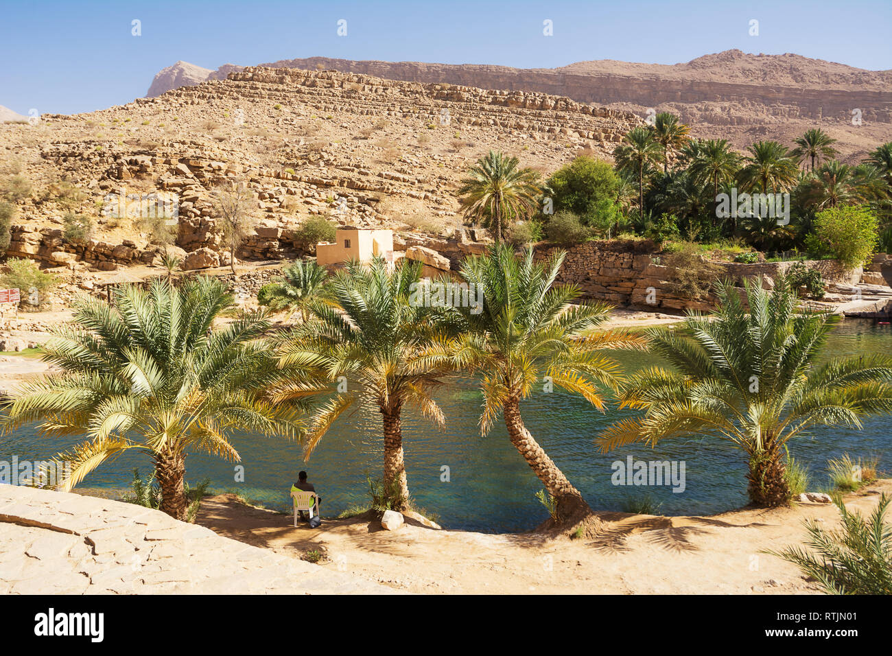 Lac incroyable et oasis avec des palmiers (Wadi Bani Khalid) dans le désert omanais Banque D'Images