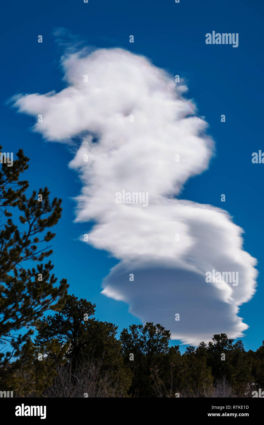 Les formations de nuages lenticulaires contre ciel bleu cobalt ; centre du Colorado, USA Banque D'Images