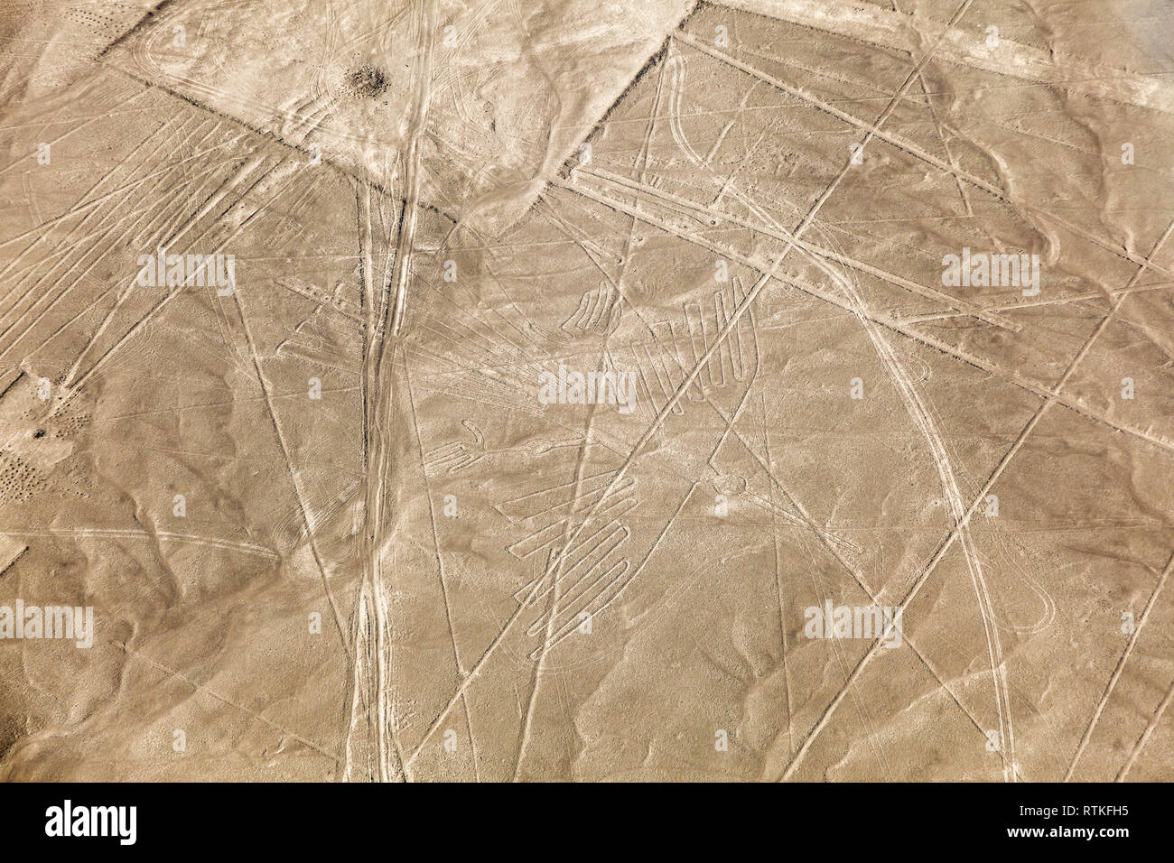 Vue aérienne des lignes de Nazca, le condor, Pérou Banque D'Images