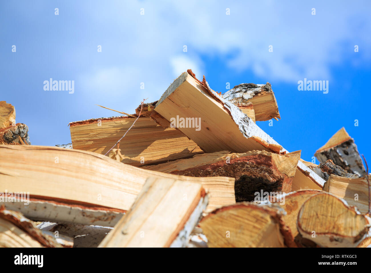 Pile de bois de chauffage. Préparation du bois de chauffage pour l'hiver et les utiliser pour la cuisson, bois de chauffage arrière-plan, des piles de bois de chauffage dans la forêt. Banque D'Images