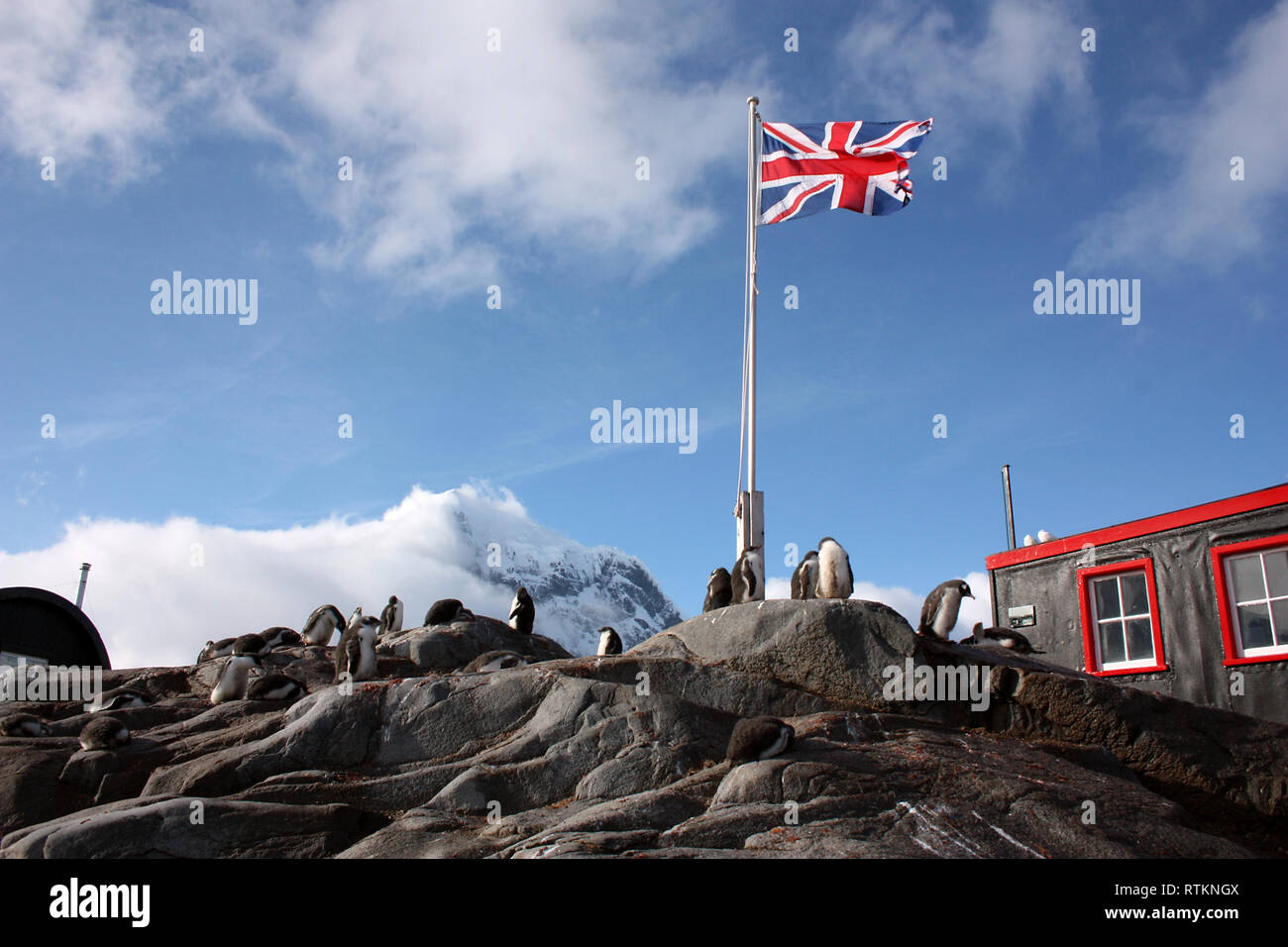 Port Lockroy- Argentina Banque D'Images