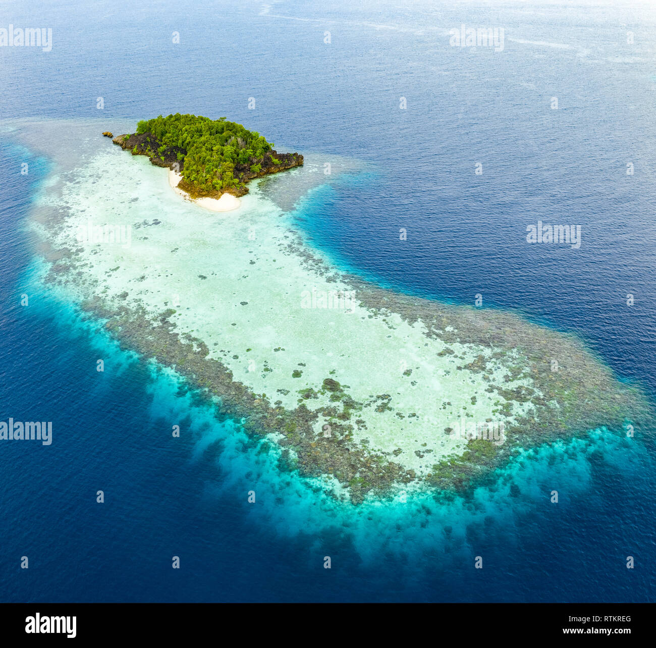 Vue aérienne d'une île isolée, entourée d'une magnifique barrière de corail, les îles Raja Ampat, Papouasie occidentale, en Indonésie, l'Océan Pacifique Banque D'Images