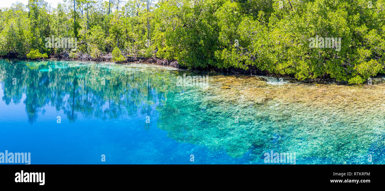 Vue aérienne de récifs coralliens et des forêts de mangroves, Îles Raja Ampat, Papouasie occidentale, en Indonésie, l'Océan Pacifique Banque D'Images