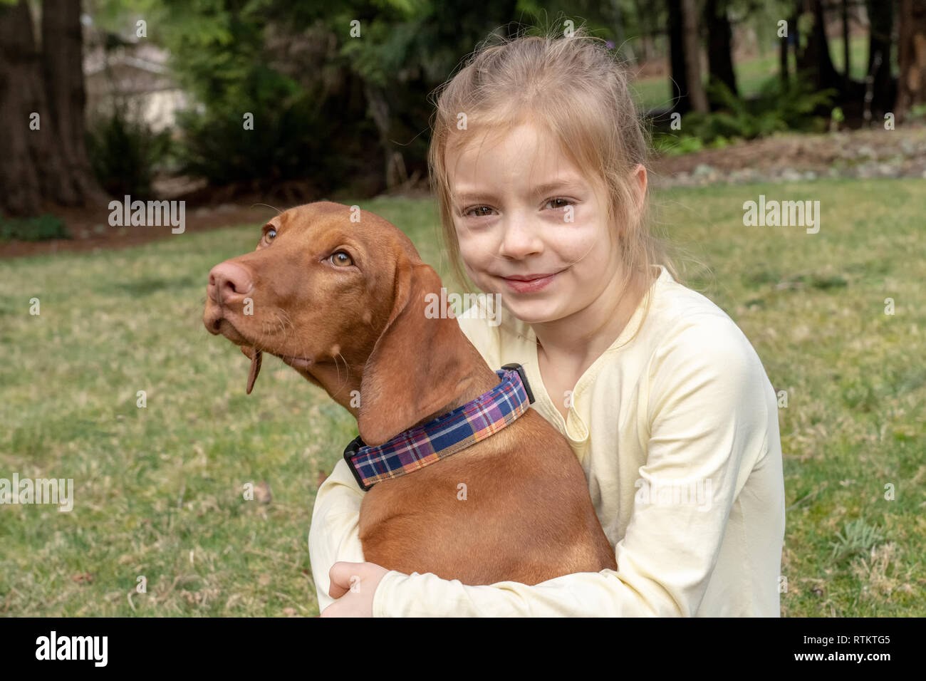 Issaquah, Washington, USA. Six ans, fille, serrant ses cinq mois Vizsla devint puppy 'Pepper'. Banque D'Images