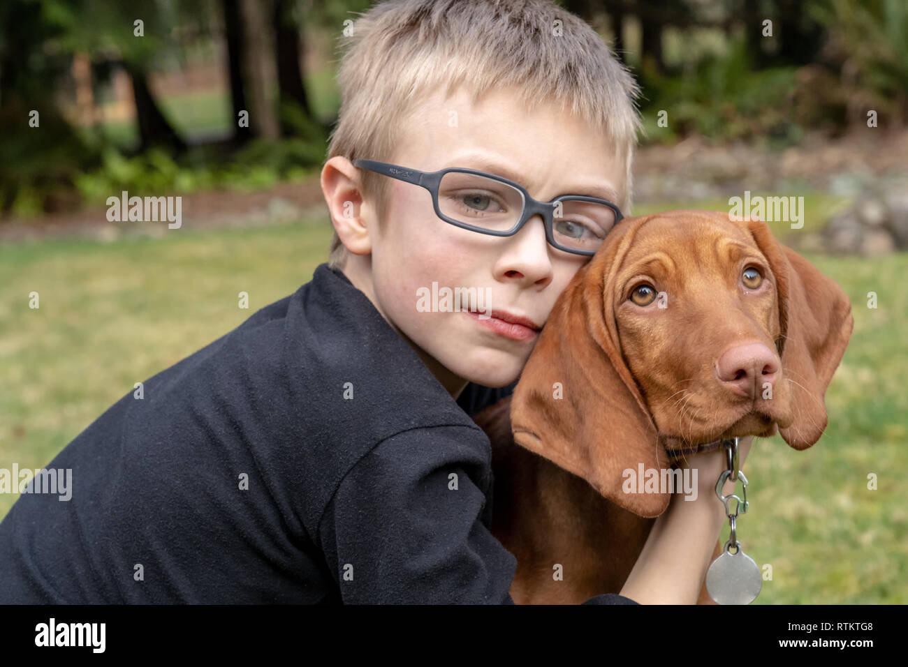 Issaquah, Washington, USA. Six ans boy hugging ses cinq mois Vizsla devint puppy 'Pepper'. Banque D'Images