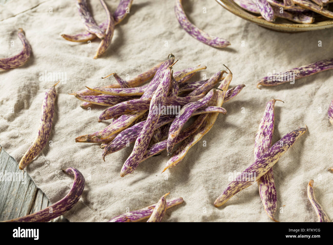 Haricots Langue de Dragon pourpre bio prêt à cuire Banque D'Images