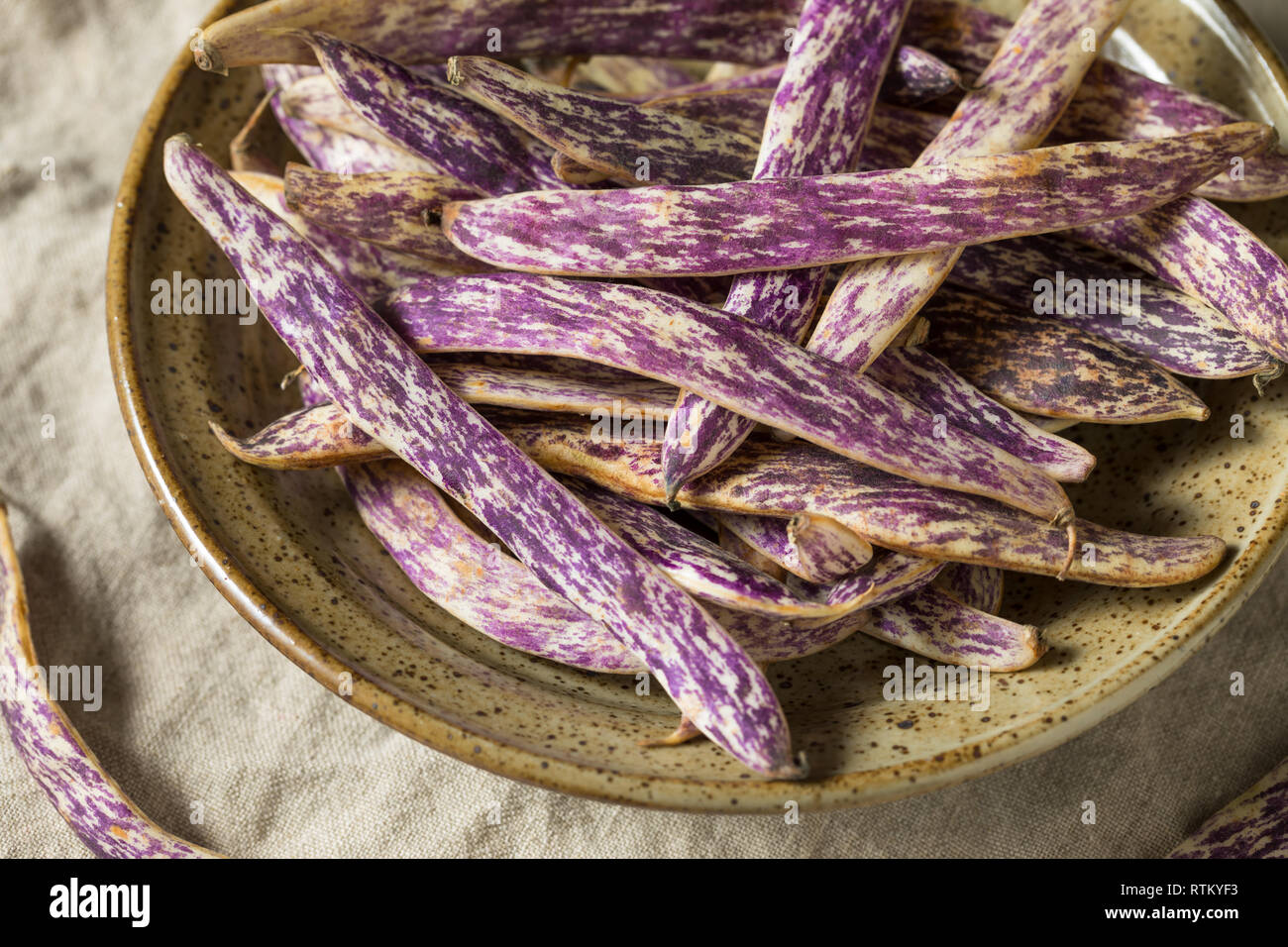 Haricots Langue de Dragon pourpre bio prêt à cuire Banque D'Images