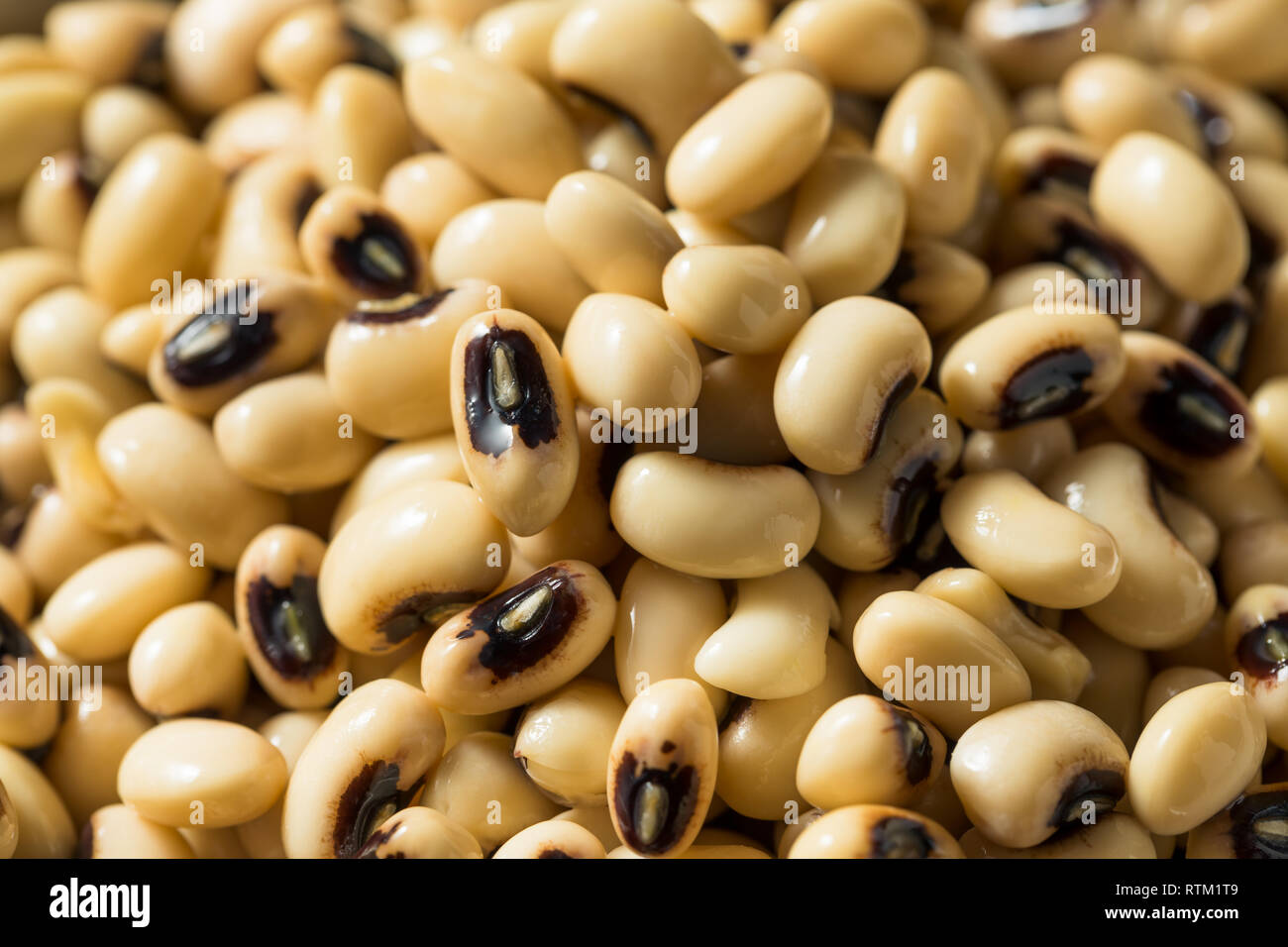 Frais biologiques brutes oeil noir pois dans un bol Banque D'Images