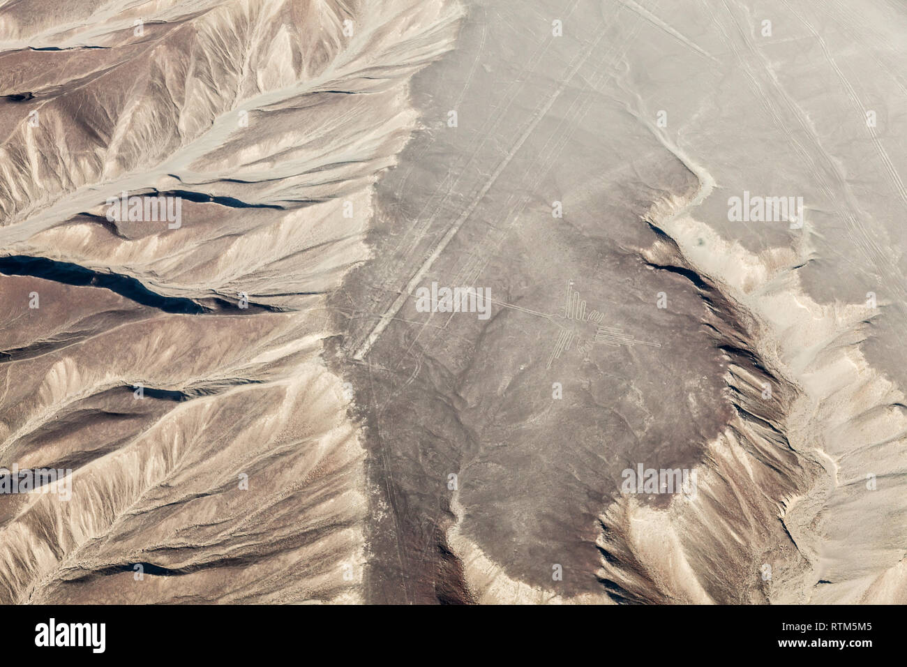 Vue aérienne des lignes de Nazca, le Pérou, hummingbird Banque D'Images