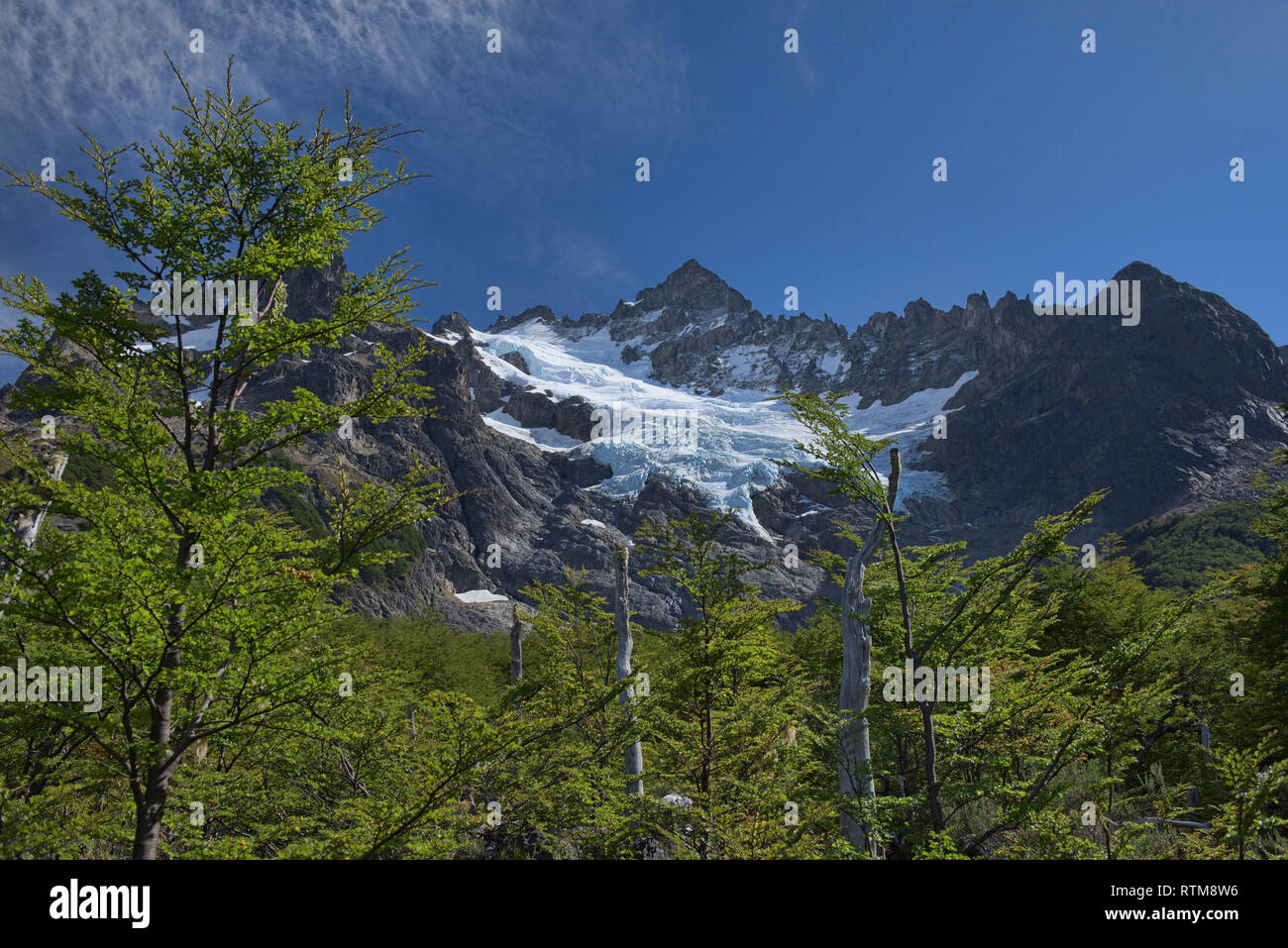 Paysages de montagne épique dans la magnifique réserve de Cerro Castillo, d'Aysen, en Patagonie, au Chili Banque D'Images