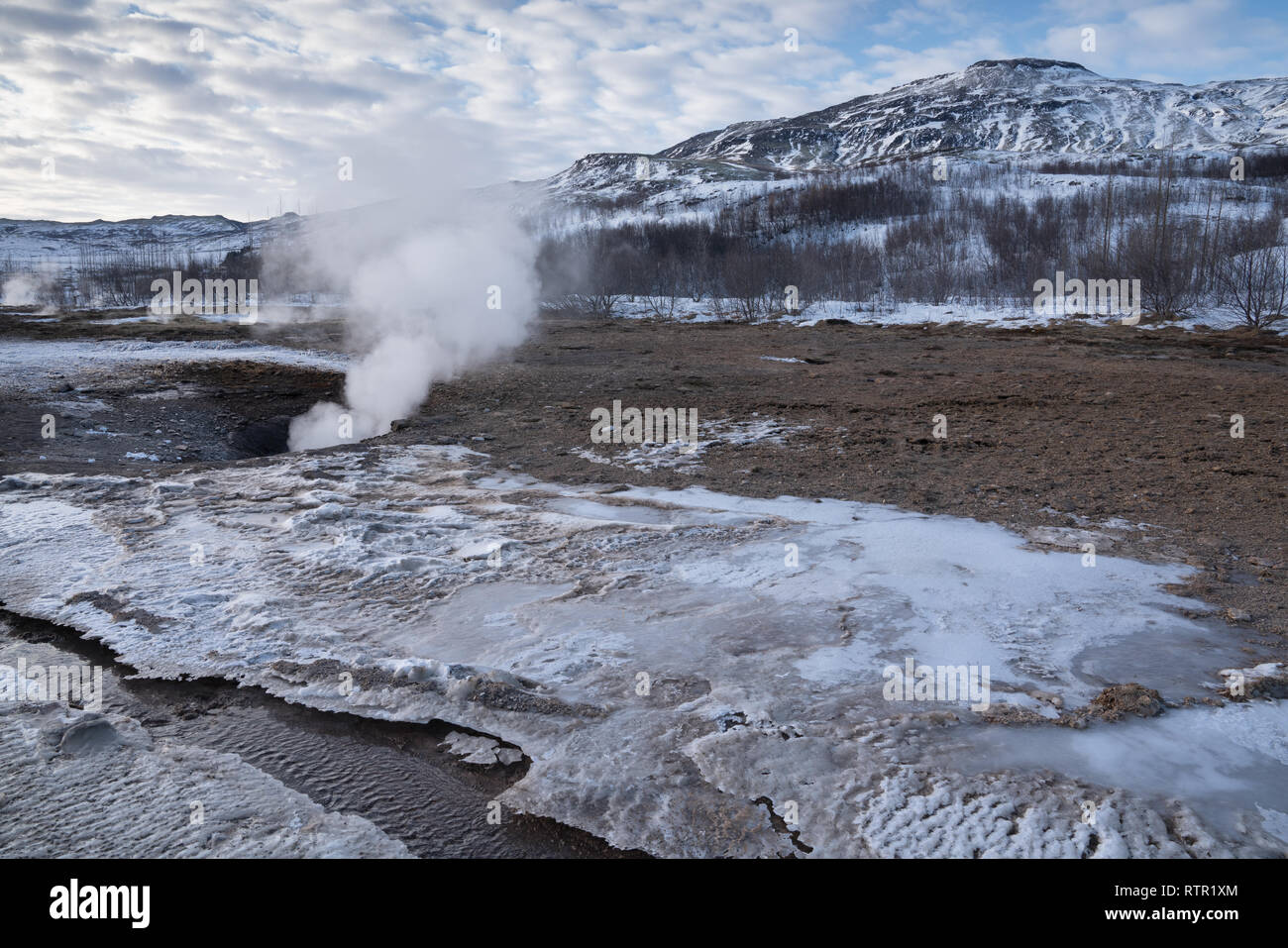 Haukadalur zone géothermique, Islande, Europe Banque D'Images
