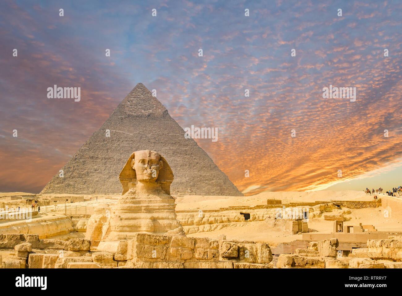 Le Sphinx et pyramide et Le Caire, Egypte,Camel Banque D'Images