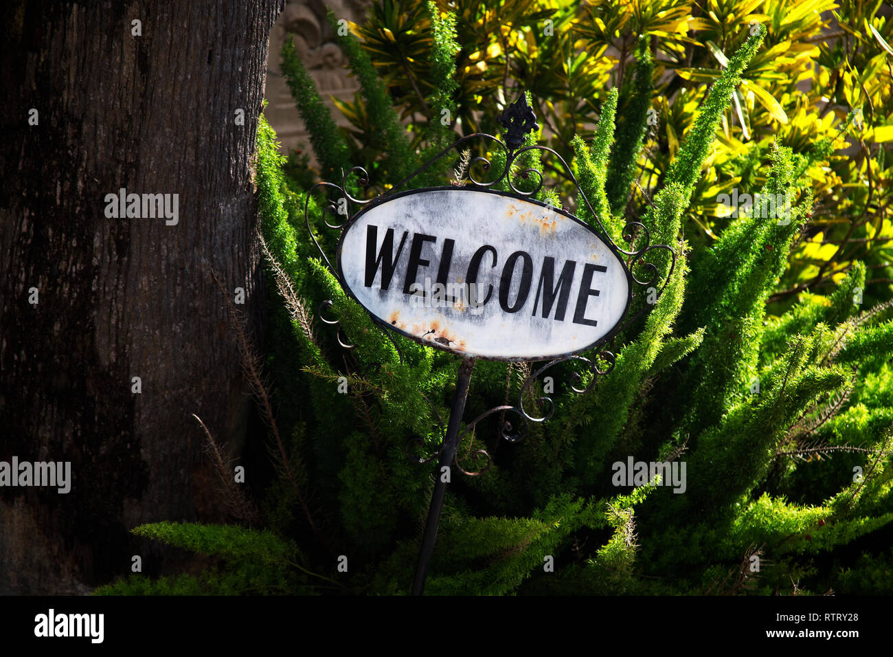 Green Garden Welcome Sign in Brownsville, Texas Banque D'Images