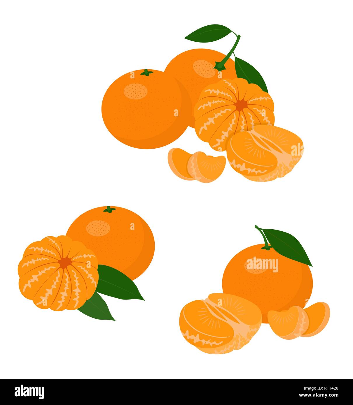 Mandarines, mandarine, clémentine avec des feuilles isolées sur fond blanc. Les agrumes. Vector Illustration set Illustration de Vecteur